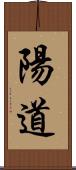 陽道 Scroll