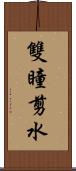 雙瞳剪水 Scroll