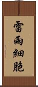 雷雨細胞 Scroll