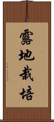 露地栽培 Scroll