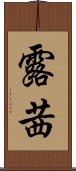 露茜 Scroll