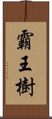 霸王樹 Scroll