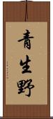 青生野 Scroll