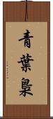 青葉梟 Scroll