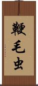 鞭毛虫 Scroll
