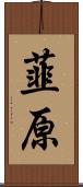 韮原 Scroll