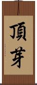頂芽 Scroll