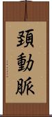 頚動脈 Scroll