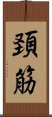 頚筋 Scroll