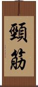 頸筋 Scroll