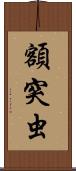 額突虫 Scroll