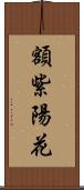 額紫陽花 Scroll