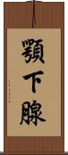 顎下腺 Scroll