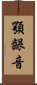 顎齦音 Scroll