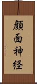 顔面神経 Scroll