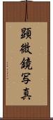 顕微鏡写真 Scroll