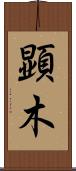 顕木 Scroll
