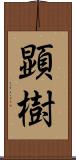 顕樹 Scroll