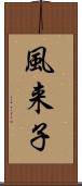 風来子 Scroll