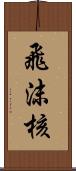 飛沫核 Scroll