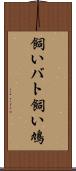 飼いバト Scroll