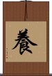 養 Scroll