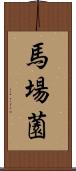 馬場薗 Scroll