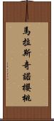 馬拉斯奇諾櫻桃 Scroll