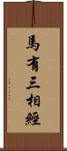 馬有三相經 Scroll