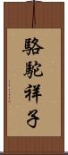 駱駝祥子 Scroll