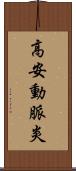 高安動脈炎 Scroll
