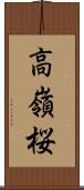 高嶺桜 Scroll