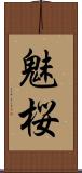 魅桜 Scroll