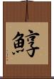 鯙 Scroll