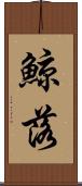 鯨落 Scroll