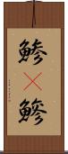 鯵(P) Scroll