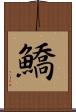 鱎 Scroll