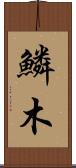 鱗木 Scroll