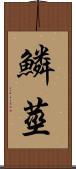 鱗莖 Scroll
