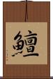 鱣 Scroll