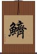 鱭 Scroll