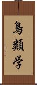 鳥類学 Scroll