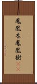 鳳凰木 Scroll