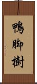 鴨脚樹 Scroll