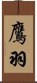 鷹羽 Scroll