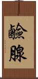 鹼腺 Scroll