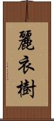 麗衣樹 Scroll