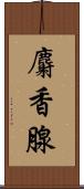 麝香腺 Scroll