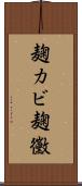 麹カビ Scroll