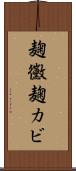 麹黴 Scroll